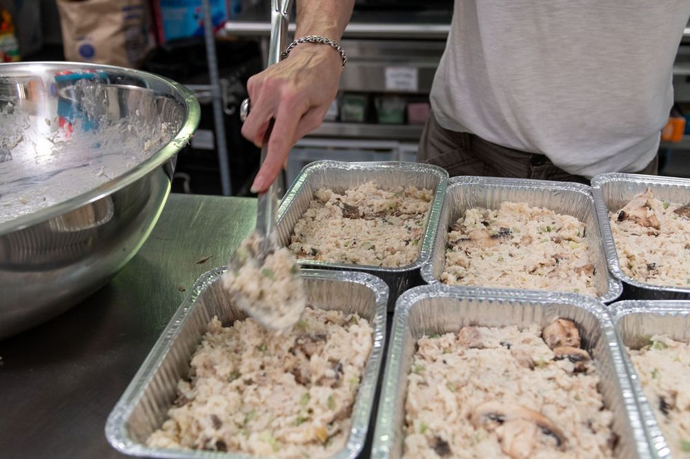 Freshly cooked food portioned into trays at a cook day